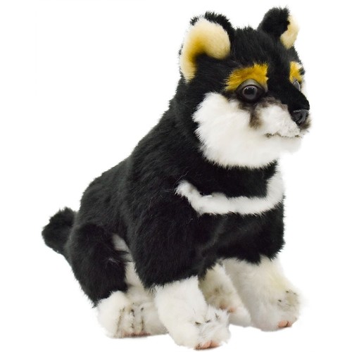 Hansa shiba inu 22 - shiba, (noir)