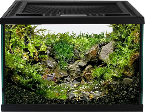12x12x8 reptile glass - 12x12x8",