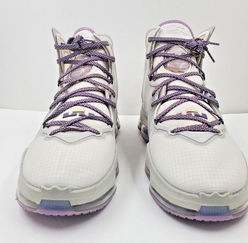 Nike lebron xix strive - xix,