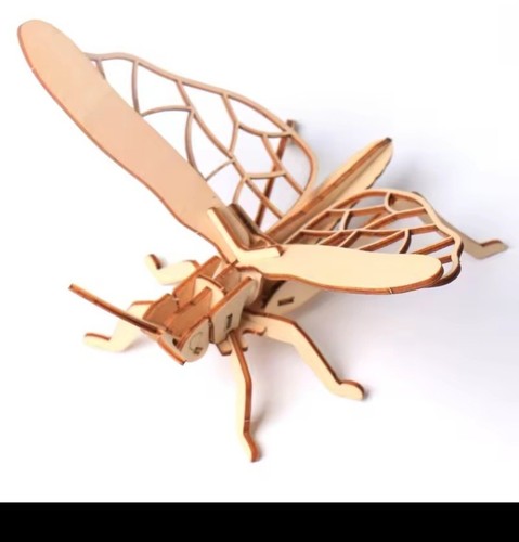 Puzzle bois criquet - 3d,