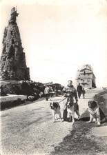 73-COL DU PETIT SAINT BERNARD-ECOLE DE CHIENS D AVALANCHE-N�T560-B/0363