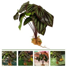  Plantes artificielles pour