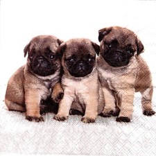 Serviettes en papier chien