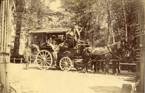 Voiture cheval vintage - voiture,