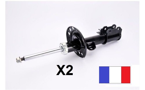 Amortisseurs avant droit et - 2,