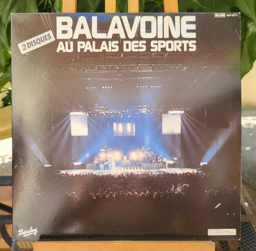 Daniel balavoine concert - daniel,
