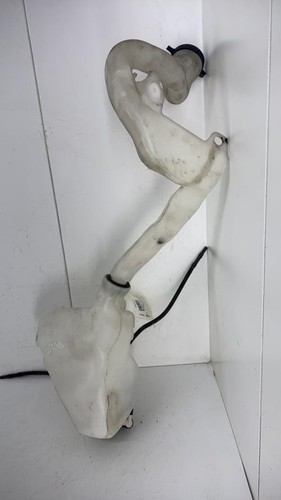 Vase lave glace - lave, citroen