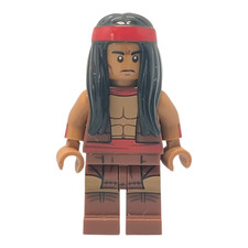 sympa figurine 71020   lego  (