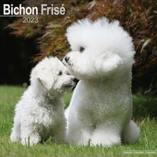 Calendrier 2023 - BICHON FRISE