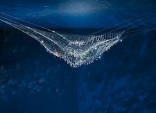 Ingo Maurer - LACRIME DEL