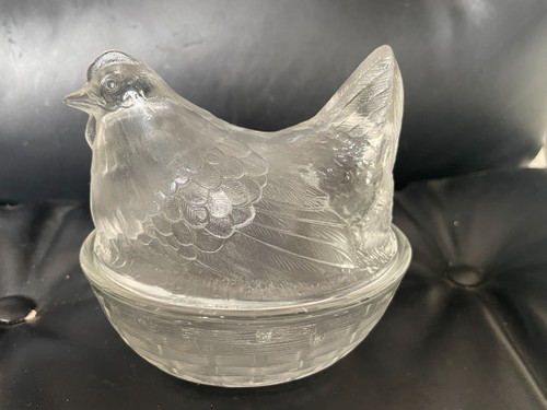 🐈‍⬛Superbe poule en