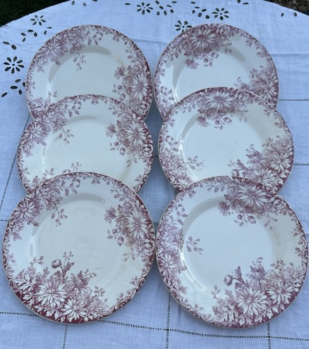 Assiettes dessert - 6,