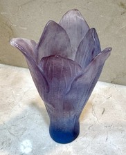 Large Amaryllis Violet Blue