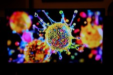 Écran Gaming incurvé 24"
