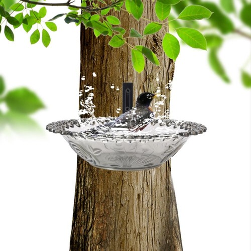 Mangeoire pour colibri design