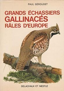 Grands echassiers gallinaces - grands, echassiers.gallinaces