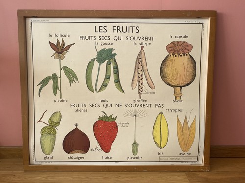 Affiche scolaire école - affiche,
