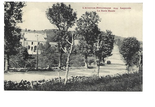 Laguiole borie haute - 12,
