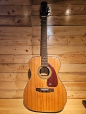Takeharu FT100 Acoustic Guitar