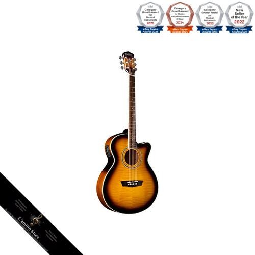 Guitare acoustique électrique - guitare, acoustique-électrique