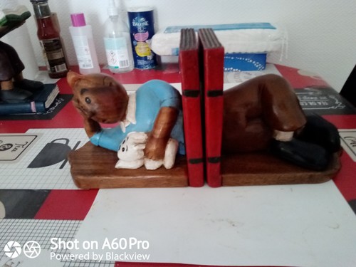 Serre livres bois tintin - serre, en