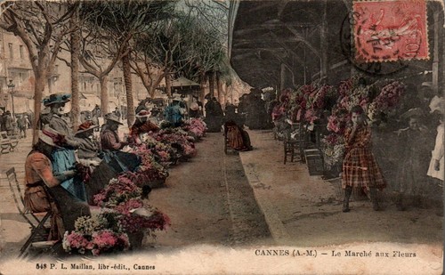 Cpa cannes le - cpa, marché