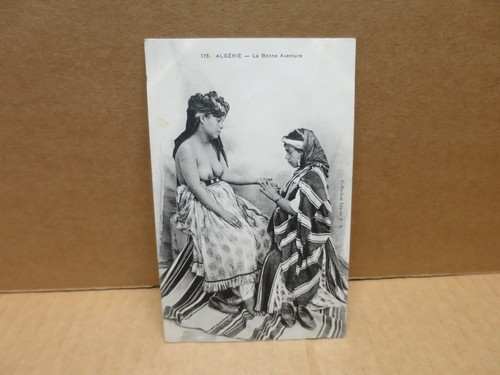 Seins nus ethnologie algérie - seins,
