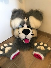 Fursuit/costume chien loup