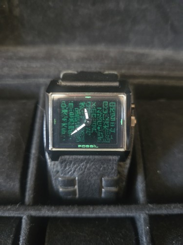 Rare fossil big tic - -,