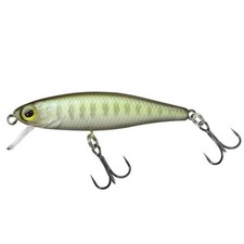 Illex tiny fry - 38, sp