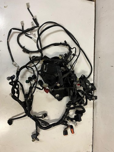 Faisceau électrique yamaha - faisceau,
