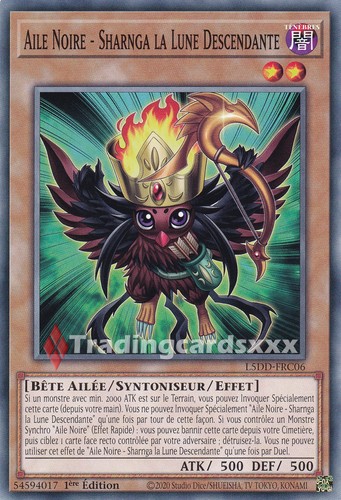 Aile noire sharnga - -,