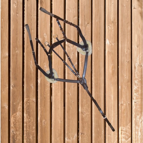Breastplate euroriding point - euroriding, 5-point