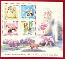 Inde 2005 Flore Faune Pichet