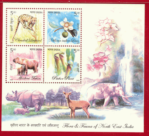 Inde 2005 flore - 2005,