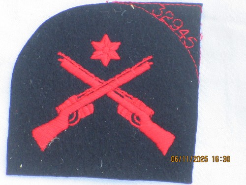 Royal navy badge - royal,