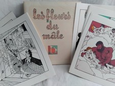 JEAN DRATZ LES FLEURS DU MÂLE