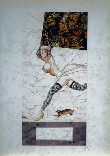 Denis sire illustration - sire,