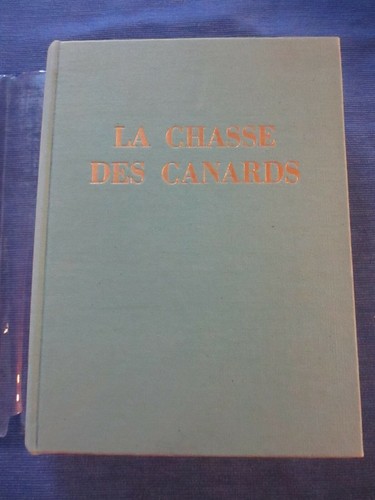 Rocher chasse des canards - la,