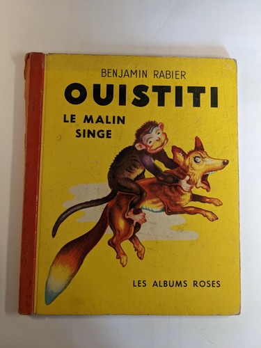 Ouistiti malin singe - ouistiti,