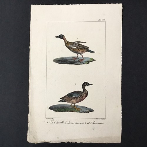 Gravure litho par - gravure, dessin