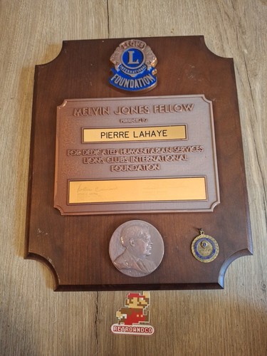 Rare plaque tableau médaille - plaque,