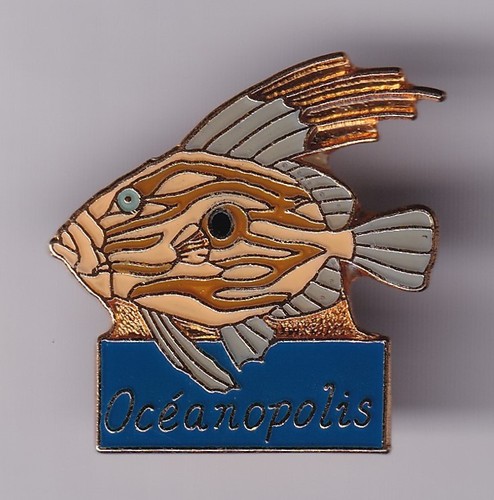 Rare pins pin - pin's, ..