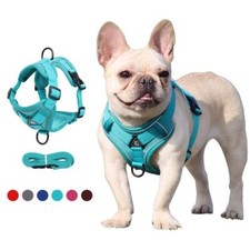 Harnais pour Chien Chat Anti Traction Gilet Réglable Petit Chien Réfléchissant