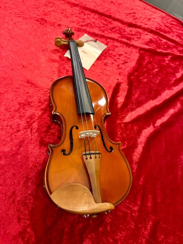 Violon inneo vp101b - violon,