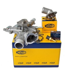 Pompe à eau + thermostat +