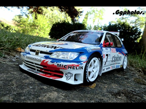 Peugeot 306 maxi - peugeot, panizzi