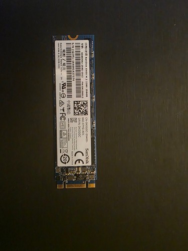Ssd sandisk 256go - sandisk,