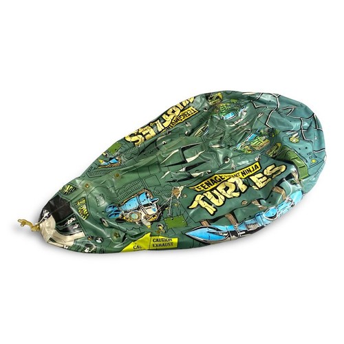 Teenage mutant ninja - teenage,