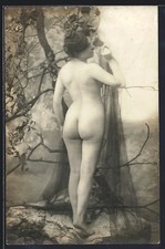 Photo-Postcard Femme Nue De Dos Au Spectateur